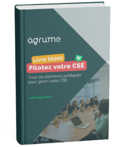 Livre blanc : Pilotez votre CSE